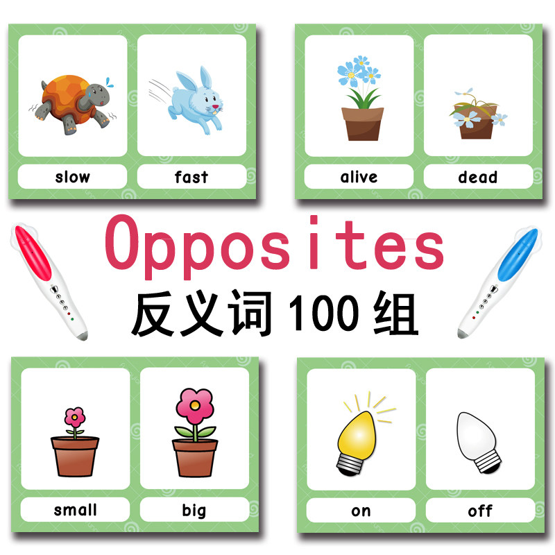 De 100 Groepen Tegenstellingen - Kids Toys Learning recensie en prijs