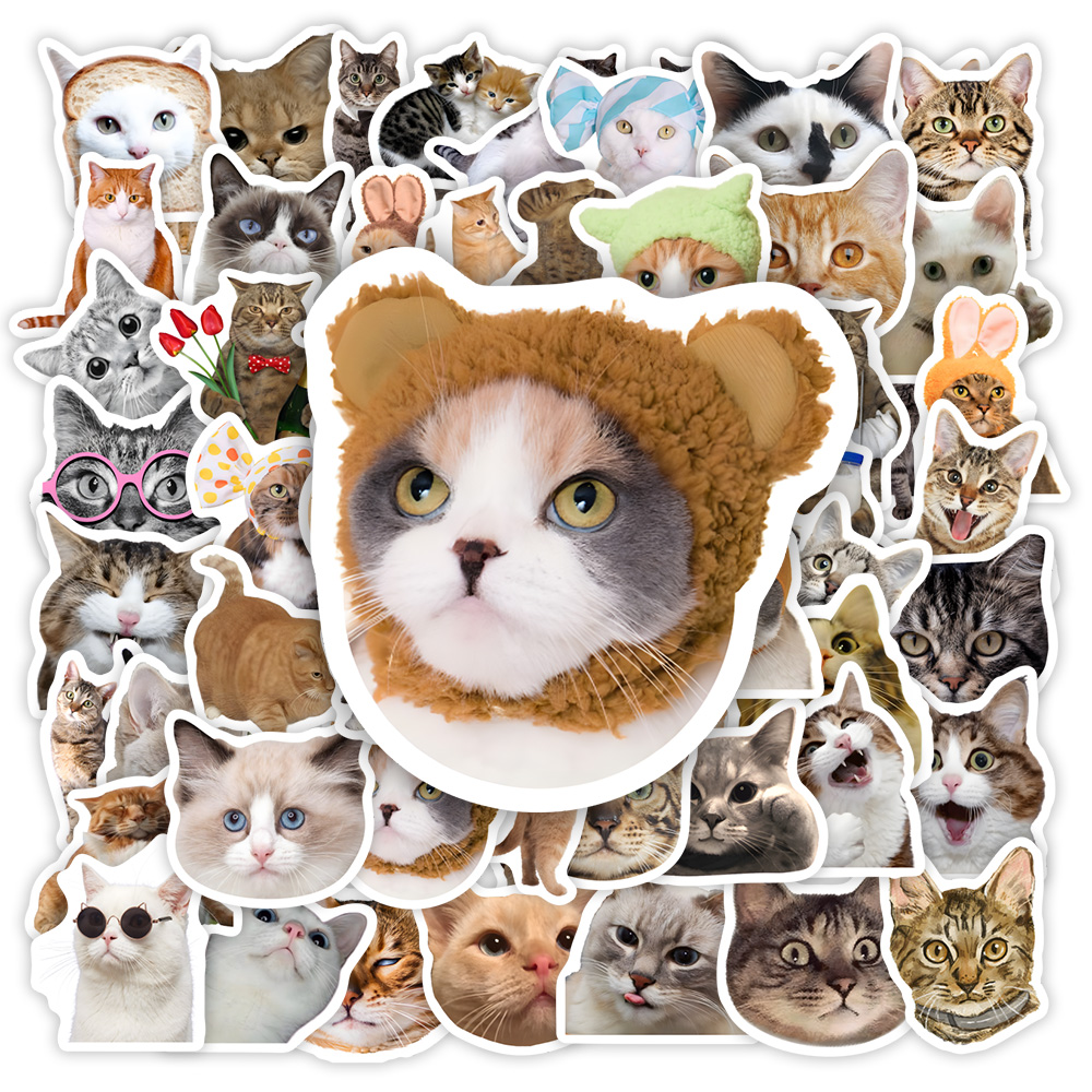 Grappige Kat Clipart Stickers  - Kids Toys Clipart recensie en prijs