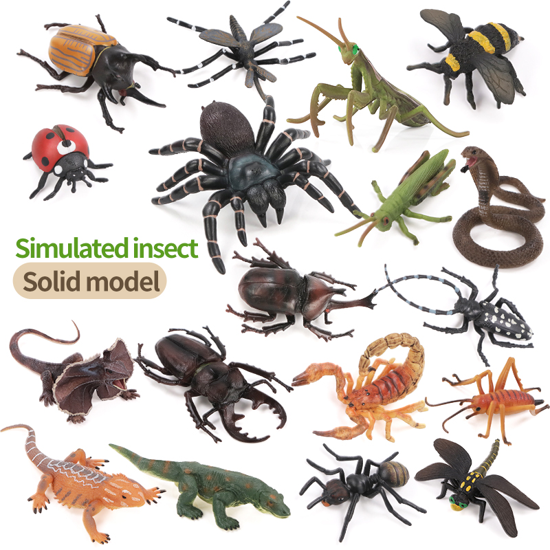 Educatieve simulatie insecten- - Kids Toys Learning recensie en prijs